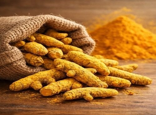 WhatsApp Image 2026-02-21 at 11.43.42